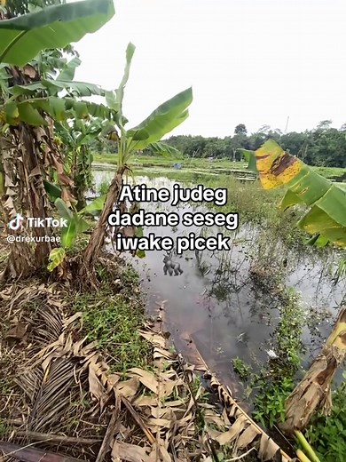 Micro Fishing Techniques for Enthusiasts