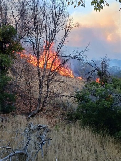 Cherry Fire burning near Springville now at 250 acres, evacuations in place