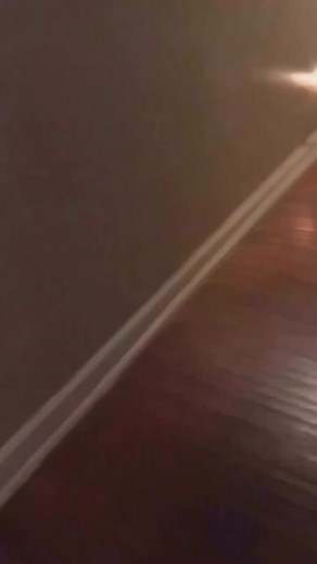 funny dogs Comp 🤣🐶 . . . #dogs #dogsoftiktok #dog | grimace shake