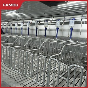 [Hot Item] Comprehensive Pig Breeding Solution New Design Galvanized Fence & Livestock Breeding Crates