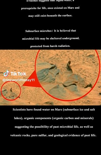Strange Phenomena on Mars: Discoveries and Theories