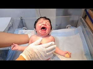 How to Bottle Feed Your Baby | Step-by-Step Guide for New Parents