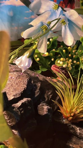 #leapordgecko | Leao Smiling