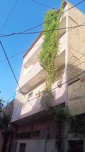 11K views · 109 reactions | 03131021519 surjani town sector 4A 84 sq yd kda lezz house ground+2 rcc 6 meter Gali gas bijli Pani available | Kashif Abbasi | Facebook