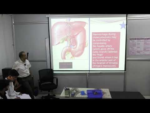 Lecture On Embryology of the GI Tract: Pancreas, Gallbladder & Midgut Rotation | MBBS Lecture