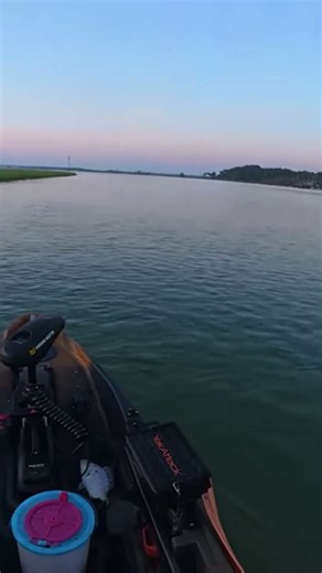 How can a pinfish do this?!?! #catchandrelease #fishing #kayakfishingtips #shorts