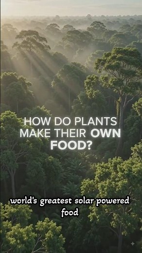 Plants Make Food From Sunlight?! 🌿☀️ #photosynthesis #science #techexplorascience