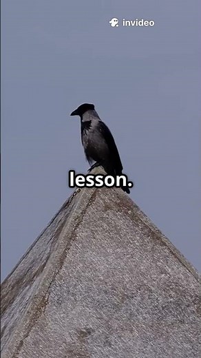 🦅 Crows Hold FUNERALS?! 😱 #MindBlown