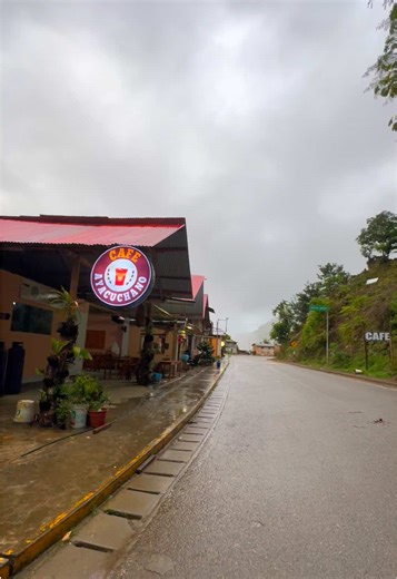 #alanwalker #nuevaunion #vraem💓perú🇵🇪 #café #electronicmusic