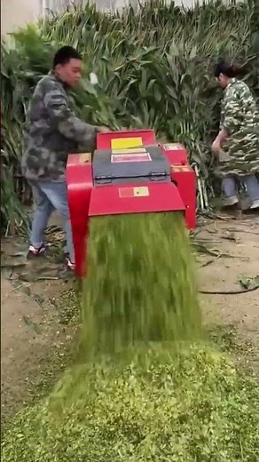 Simple process of cutting grass with the help of machine