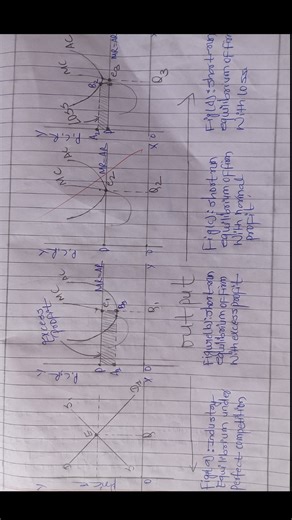 equilibrium of firm under perfect competition market📒grade 12-NEB prep(economics)