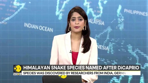 New Snake Species Discovered In Himalayas, Named After Leonardo DiCaprio