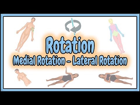 29. Rotation (Medial Rotation & Lateral Rotation) Terms || 2D Animation