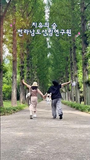 Healing Forest at the Jeollanam-do Forest Research Institute | Places to Visit in Naju