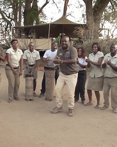 549 reactions · 168 shares | Traveling to Africa? African Bush Camps are the ultimate in luxury, value and convenience. Choose your destination and browse our luxury safari packages. | African Bush Camps | Facebook