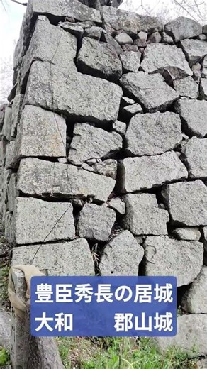 郡山城 #桜祭り #大和#豊臣秀長