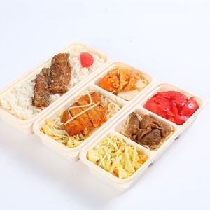 [Hot Item] 100% Compostable Biodegradable Freezer Safe Eco-Friendly Natural Sugarcanetake out Food Box