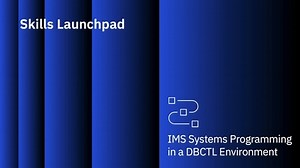 IMS Systems Programming in a DBCTL Environment: course overview