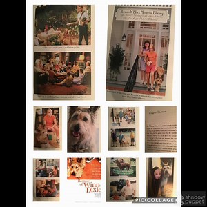 Because of Winn-Dixie Chapter 13 & 14