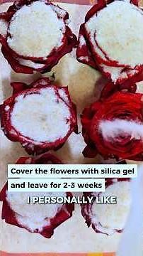 🌺 How to Preserve Flowers in Resin – Part 1️⃣ #CraftResin #EpoxyResin #ResinArt #FlowerPreservation