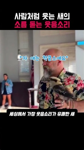 사람처럼 웃는 새의 소름 돋는 웃음소리 #쇼츠