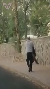 Man Appears Out of Nowhere. 😲 | Slapped Ham