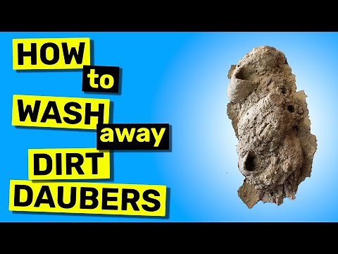 How To Wash Away Dirt Dauber Nests | White Stucco