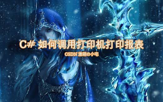 【C#】第七讲：C# 如何调用打印机打印报表