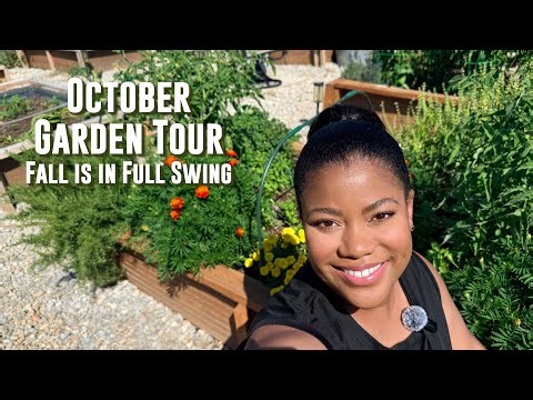 October Garden Tour #growyourownfood #gardentour