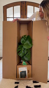 Elevate your home decor with self-watering plants! 華 These low-maintenance beauties ship to your door with everything but the water! The best part? You get all the green without the stress of traditional plant care  | easyplant | Facebook