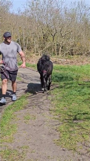 “Man vs Horse Sprint… Who Wins? 🏃‍♂️🐎”