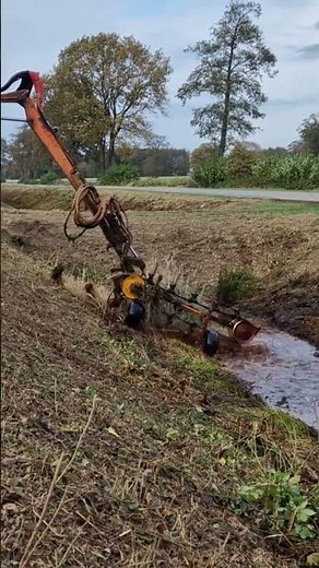 How to prevent floods by clearing overgrown ditches