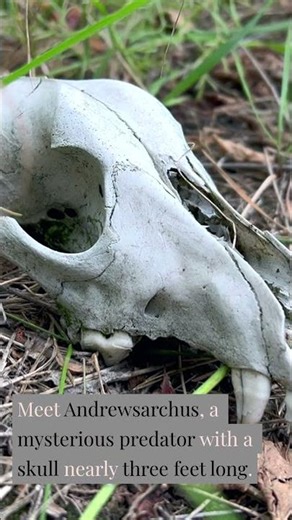 The Hoofed Carnivore That Shouldnt Exist
