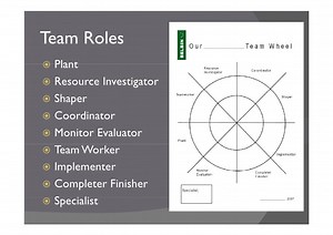 Belbin Team Roles Test Free