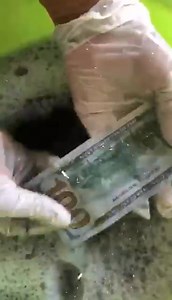 #ssd #solution #Chemicals for cleaning black notes We are on promotion for the end of the year we work on percentage in any countries our technicians are ready to meet face to face . Automatic SSD solution chemical for sale Contact me on Telegram 447904730637 Wattsapp