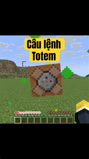 Câu lệnh Totem #minecraft
