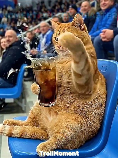 #momentbeforedisaster #trollface