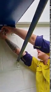 39K views · 384 reactions | Carpet python in logan village | Harrison's Gold Coast and Brisbane Snake Catcher | Facebook