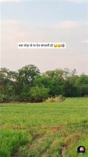 फूल झरे हांसी | भूपेन्द्र साहू I Phool Jhare Hansi | Chhattisgarhi Song | Just Sing Little bit