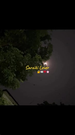 Aesthetic Song Vibes to Enhance Your Mood