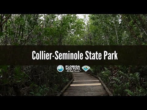 Firsthand Florida Fun: Collier-Seminole State Park