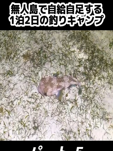 無人島で自給自足する1泊2日の釣りキャンプ 5#沖縄 #カミヤマライトゲーム #伊是名島 #fyp #for #fishing #fishingtips😎🔥✌️🎣🎣🎣