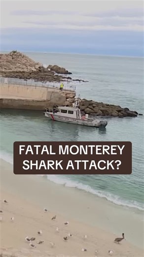 320K views · 10K reactions | A swimmer is missing in Monterey Bay after a presumed shark attack. #shark #sharkattack @nbcbayarea | Garvin Thomas NBC Bay Area | Facebook