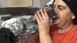 526K views · 10K reactions | AGGIORNAMENTO del 23 Febbraio La piccola non c’è la fatta  14 Febbraio 2020 Buona serata a tutti  Noi siamo innamorati 殺 La piccola fino a stasera reagisce da vera guerriera! Tifiamo tutti per lei con l’augurio di trovare una famiglia speciale quando sarà il momento di essere adottata  | L'Oasi Del Randagio | Facebook