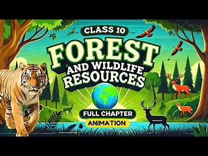 Forest and wildlife resources class 10 cbse one shot (Animation) | Class 10 geography chapter 2 bkp