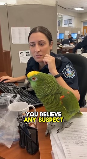 155K views · 4.8K reactions | Funniest Police Station Prank Ever! | Global Weird News | Facebook