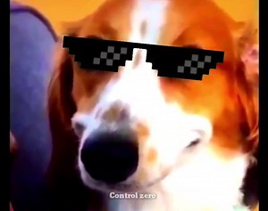 106K views · 3K reactions | -quieres venir a ver Netflix -Yo: | LORD FINIS | Facebook