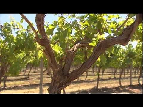 Hydrosmart Landline Case Studies