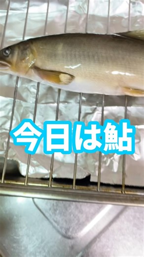 あゆアユ鮎！塩焼きおいしいよ#かんたん料理 #鮎の塩焼き