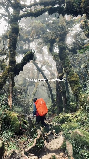 Mendaki Gunung: Video Estetik Pendaki di Indonesia
